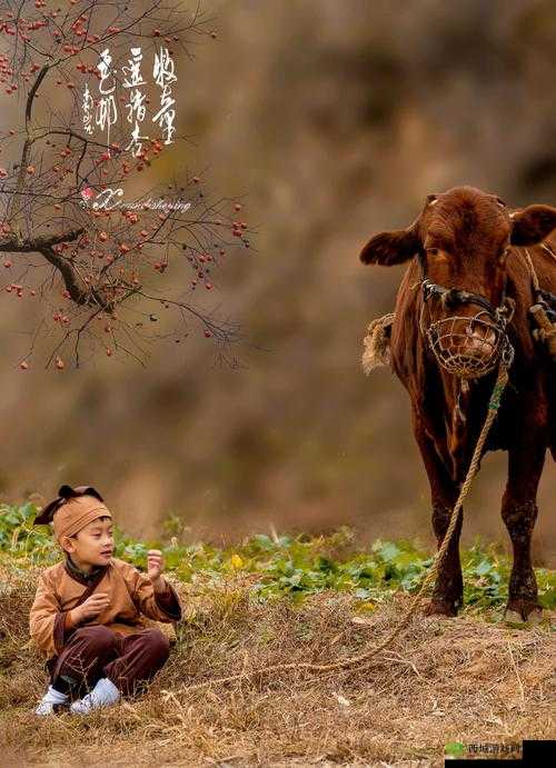 天刀手游魁牛牧童打法详解:轻松攻略必备技巧