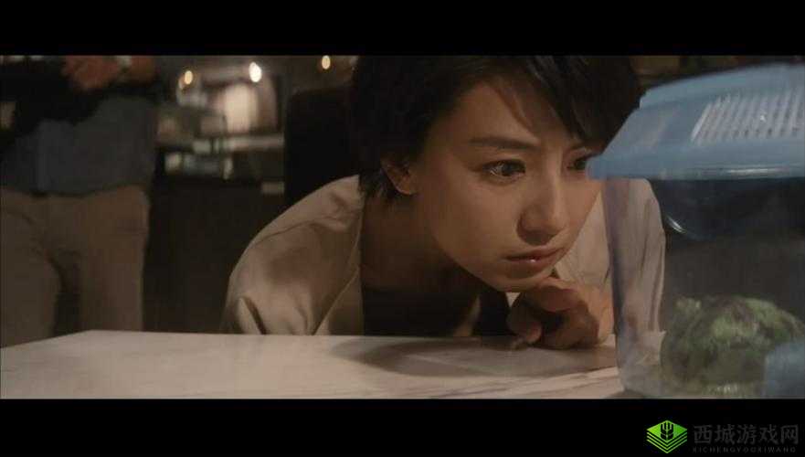 单身男女免费观看国语高清:邂逅浪漫爱情