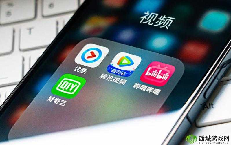 国外 b 站:一个独特的视频平台