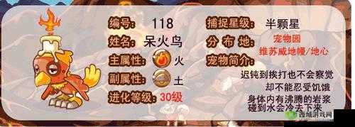 洛克王国火系试炼攻略大揭秘:活动全通关秘籍汇总