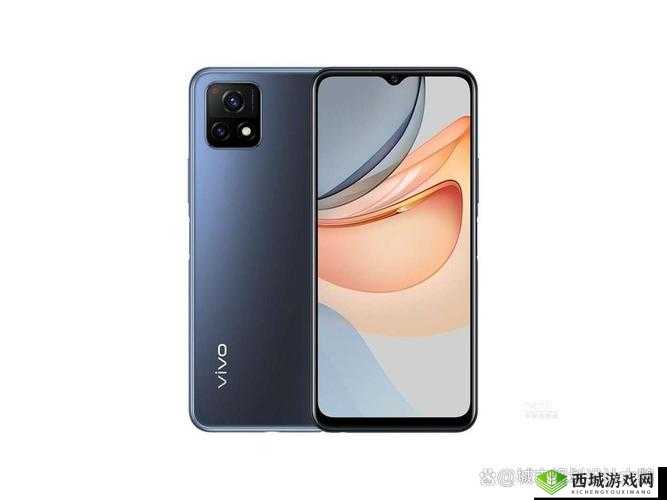 成色好的 Y31:品质卓越性能佳