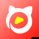 新版猫咪地域网:猫咪爱好者的专属社区