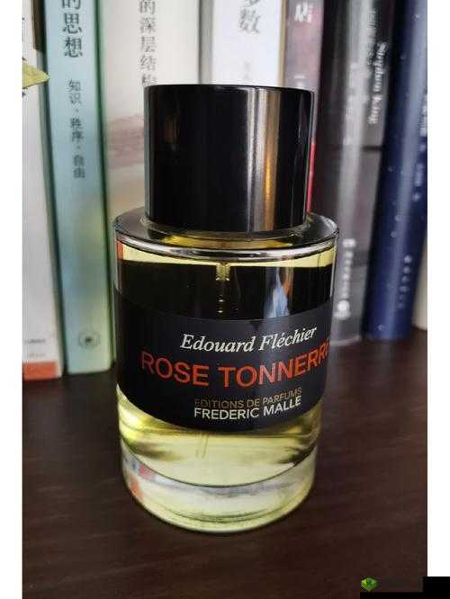 无人区玫瑰与夜色玫瑰的区别:特点解析