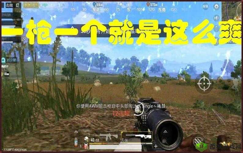 B站刺激战场户外直播：精彩对决来袭