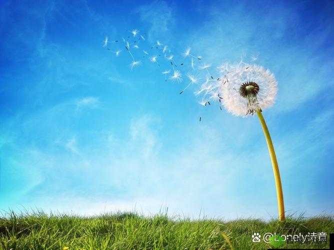 突然掉出透明一坨,引发奇妙景象