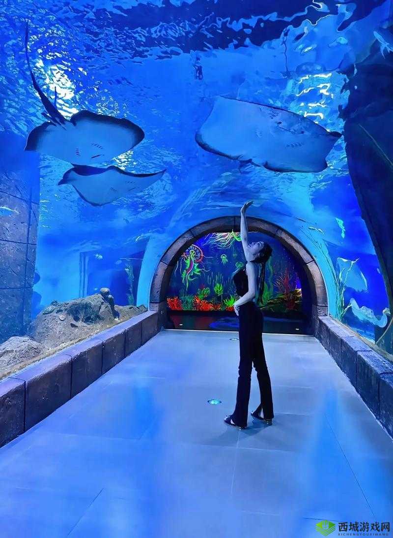 鱿鱼 b25777 直接进入:神秘入口等你来探索