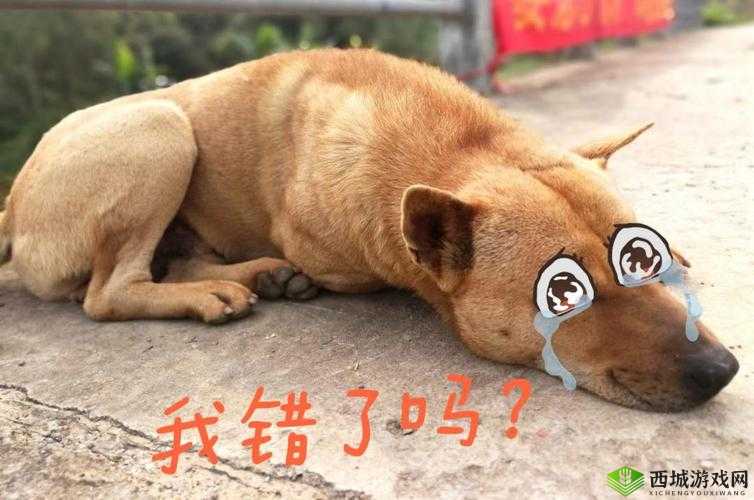 主人我错了,请把它关掉好吗:诚恳请求关掉