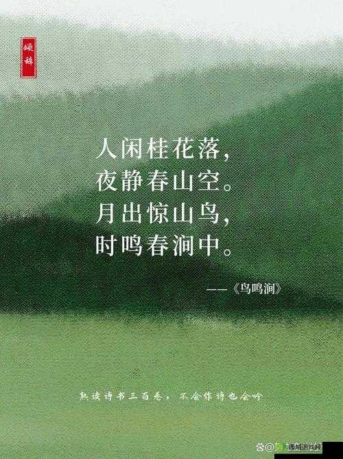 芳草萋萋流水潺潺美不可言:自然的诗意画卷