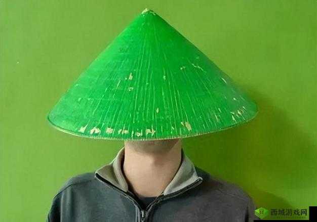 绿帽子精选系列 70：独特精彩不容错过