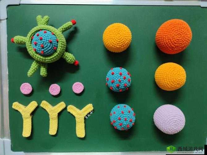 生物课实用教具有哪些及选择