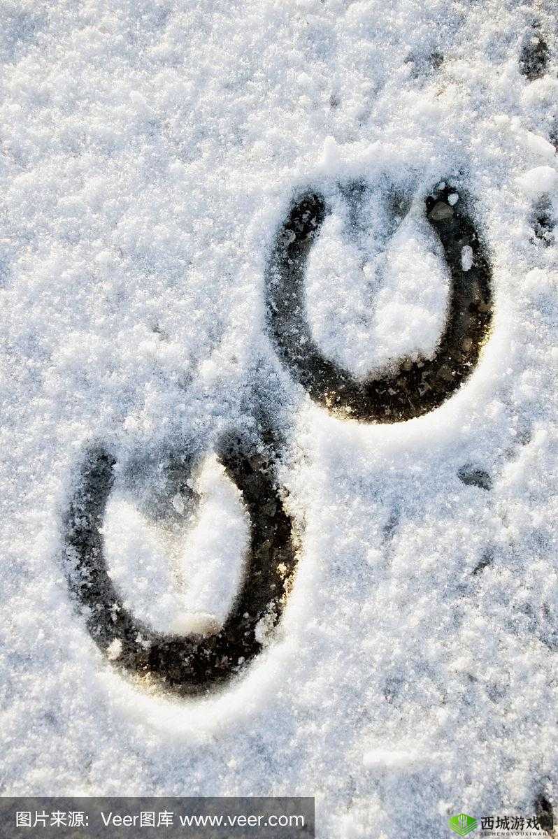 沿着马的足迹:深入古代