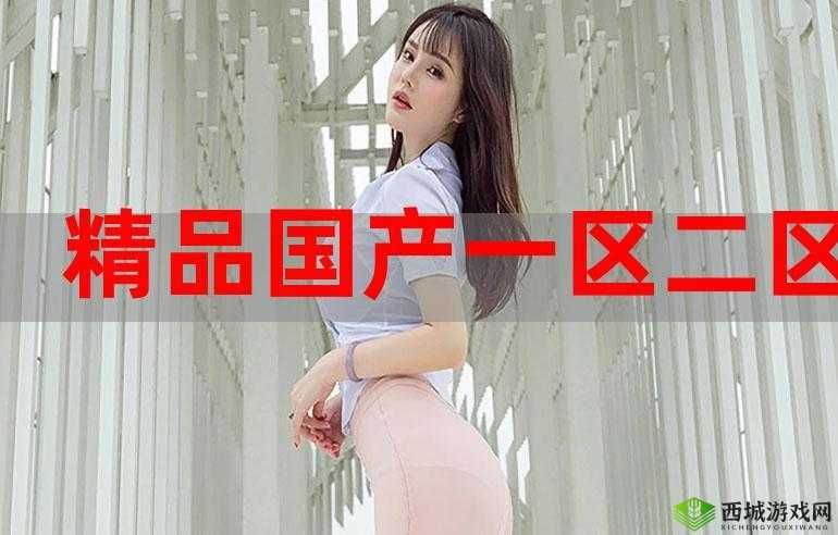 精产国品一二三产区区别在线观看详细解析