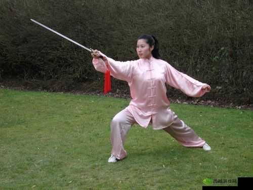 《仙侠之剑尊职业揭秘:探秘巅峰剑术的传奇之路》