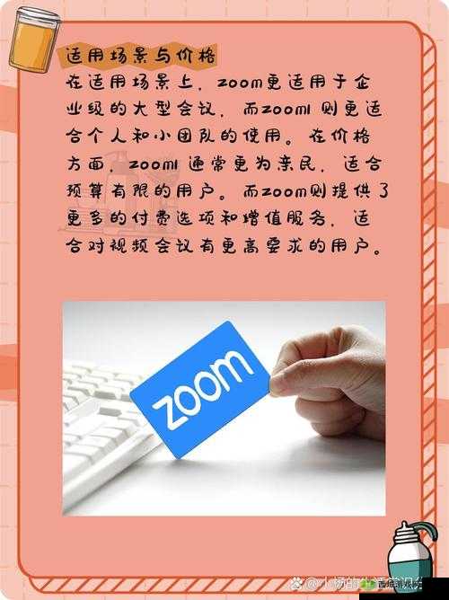 组队指南-美国ZOOM 人与 ZOOM 欧:实用技巧分享