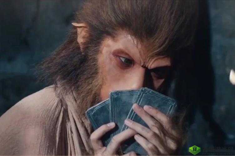 打扑生猴子:一场奇特的行为演绎