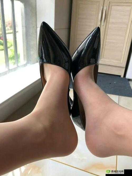 国产欧美日韩丝袜高跟鞋:时尚必备单品