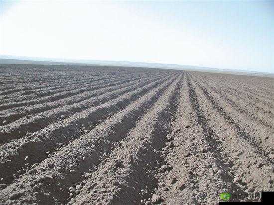 开垦妈妈肥沃的土地好吗：这是什么奇怪表述