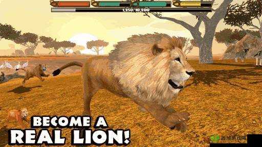 狮子模拟器:引领种族于森林中顽强存活之要点