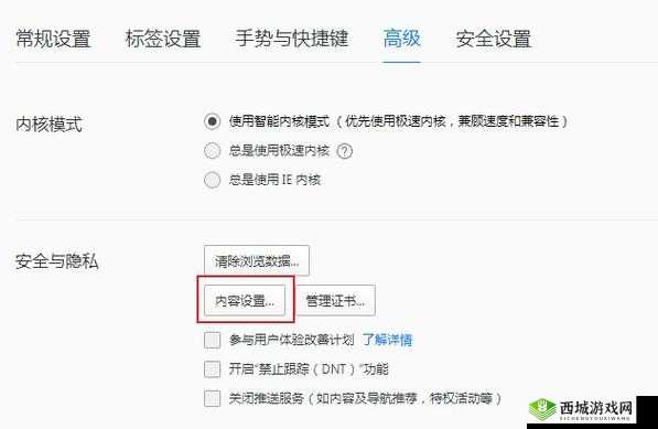浏览器直接进入网站的注意事项:必知要点
