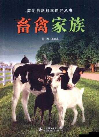 人与畜禽 CORPORATION 合作:开创美好未来