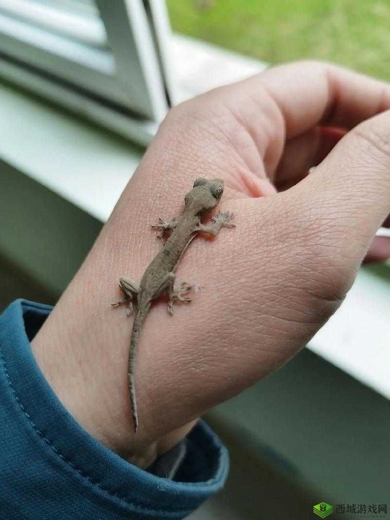 一人同时舔舐上面和下面的奇妙体验