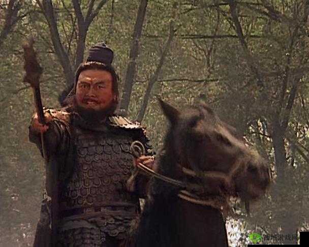 《好多国》之风云豪杰张飞:英勇无畏的猛将与豪杰风采展示》