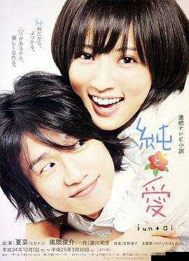 17 岁日本高清免费观看完整版：纯爱与青春的故事