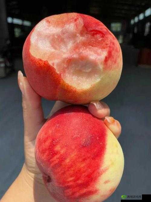 X7X7X7X7 水蜜桃可无限制进入:畅享甜蜜滋味