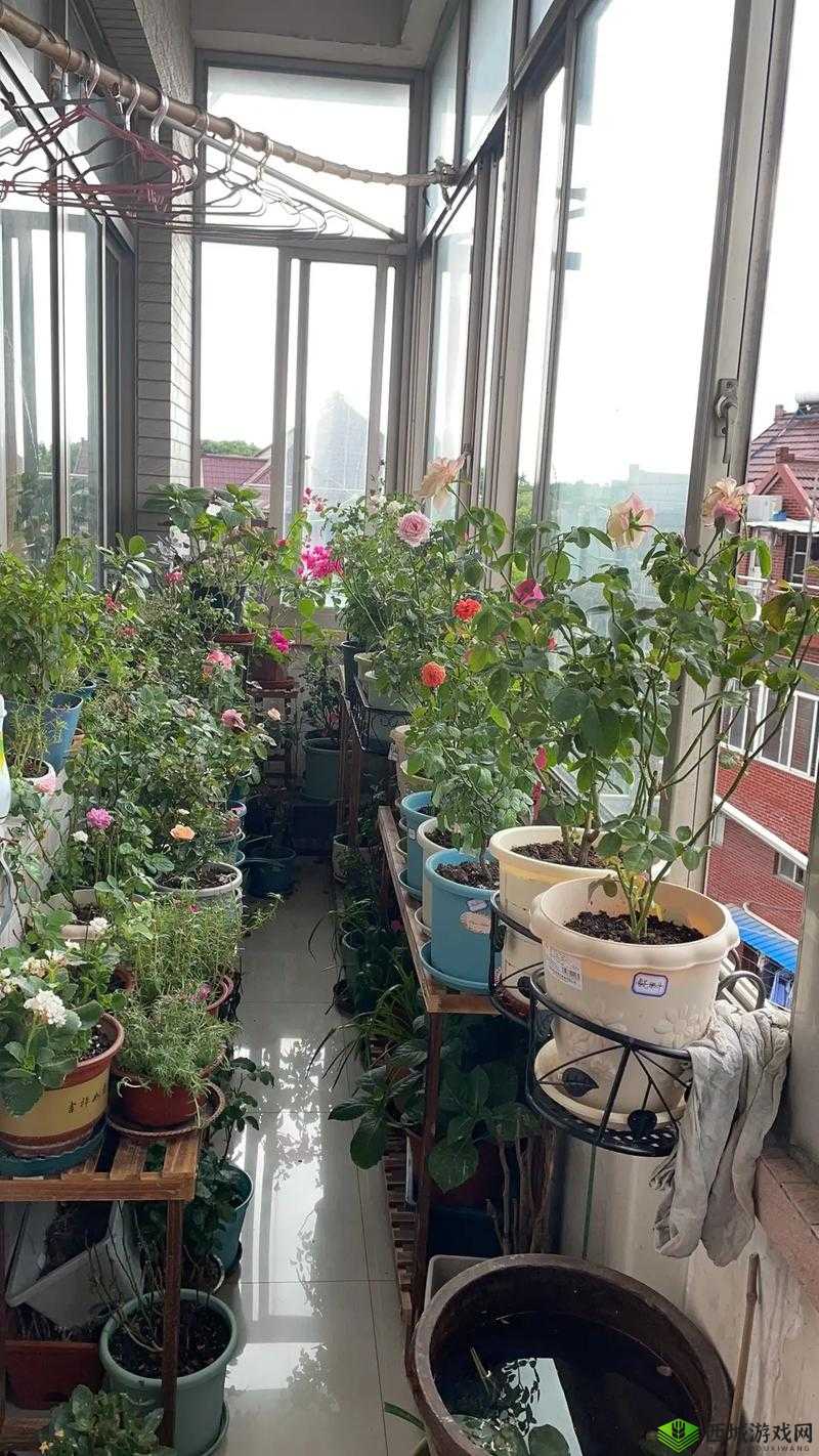 照顾小花园技巧：如何精心呵护小花园