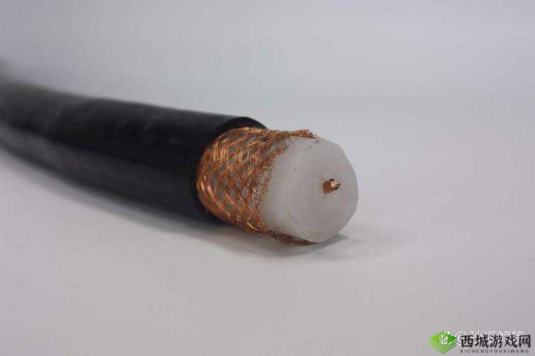 75 欧射频线和 65 欧射频线区别知名人员加入:深度解析