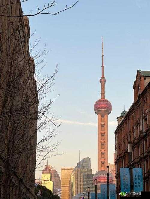 双阳插花芯:传统工艺的璀璨明珠