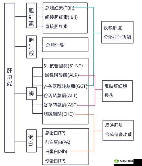 星空传媒沈娜娜面试功能介绍之相关解读