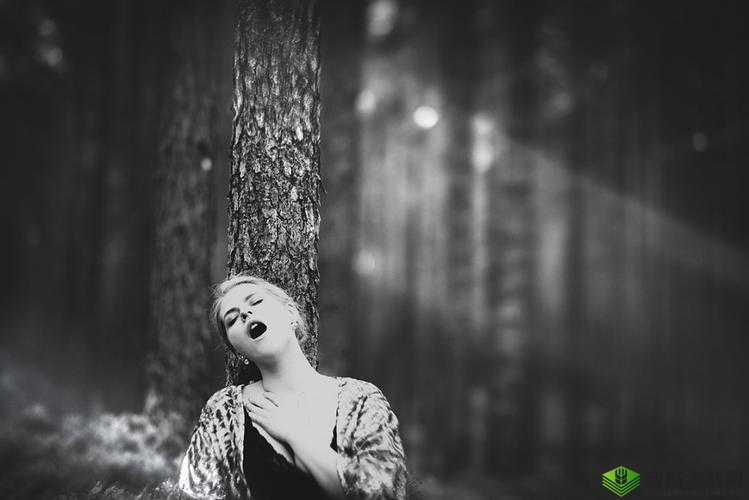 在公交车上弄高 C 这一特殊经历