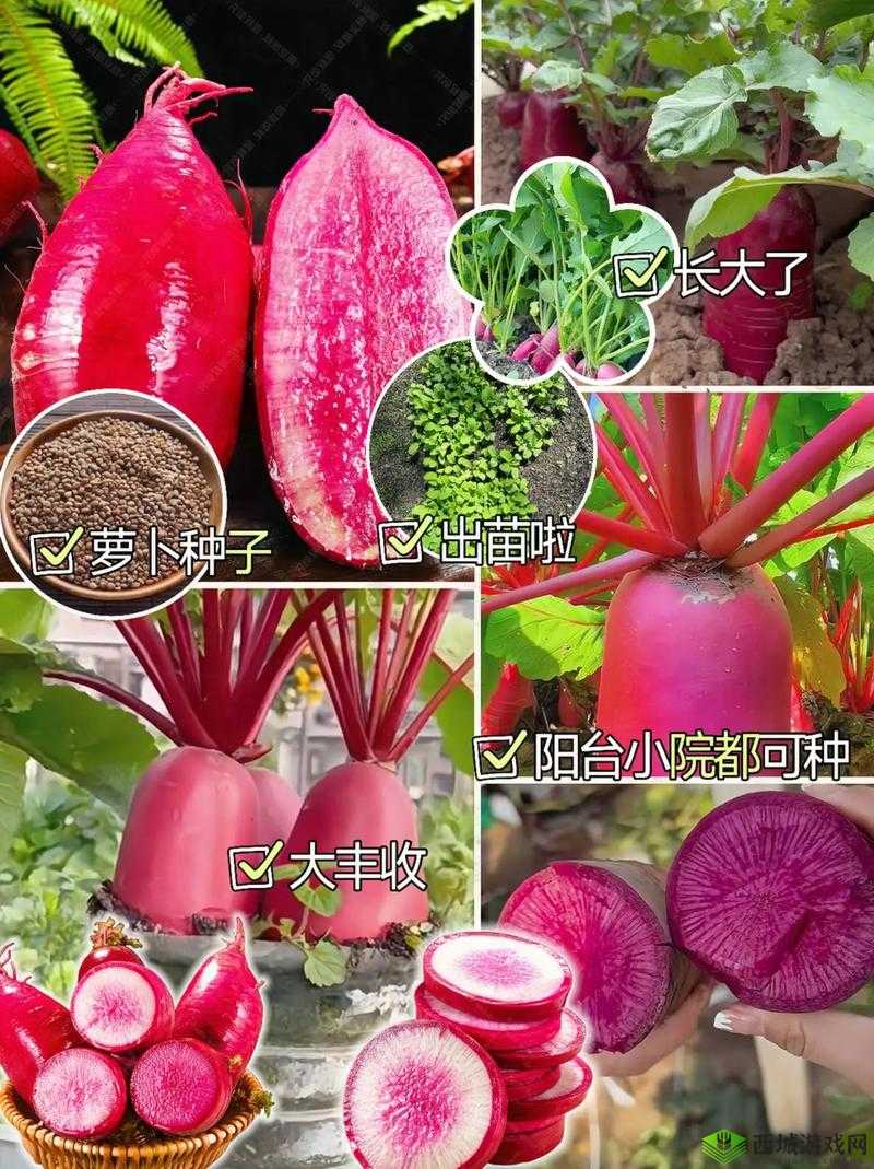 MAX1978 国产替代：优质之选