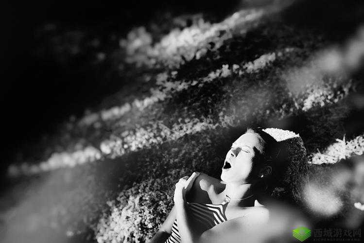 在公交车上弄到高 C 月:私密时刻被曝光