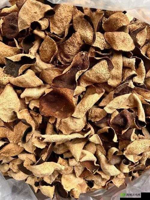 久一线产区二线产区三线产区不再更新:这意味着什么