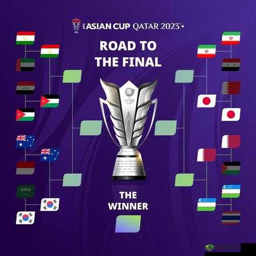 亚洲 VS 欧洲 VS 日本:文化与实力的较量