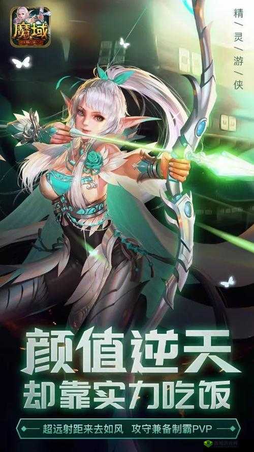 硬霸魔域口袋版:资深玩家引领新职业的热血征途