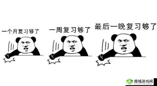 学渣骑学霸鸡背单词:荒诞与励志的奇妙组合