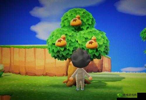 橡栗宝藏:动物森友会中橡栗的神秘用途与作用解析