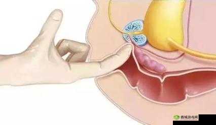 正确走后门的方法视频完整版被内部泄露:用户该如何应对