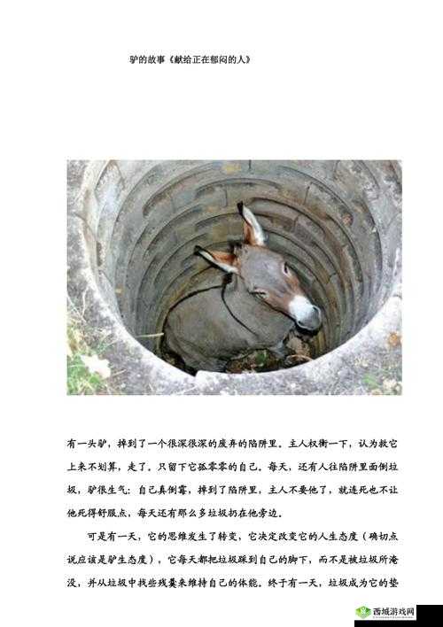 傻大壮长的驴一样的东西:一则有趣的故事