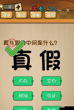 真与假之间的神秘谜题:神脑洞游戏第70关攻略大全