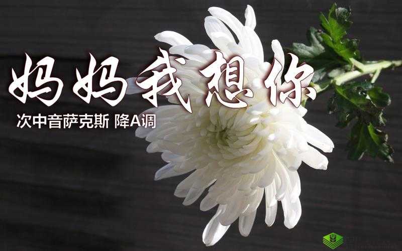 母亲とが話しています:动人的旋律