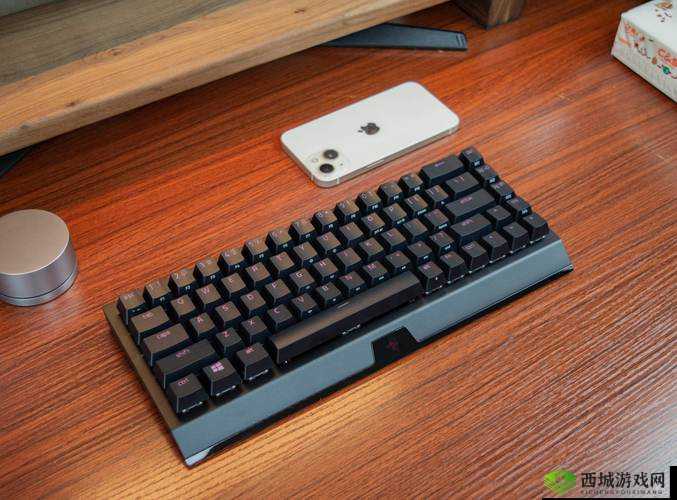 黑寡妇 V3 无线多少入手合适：详细分析