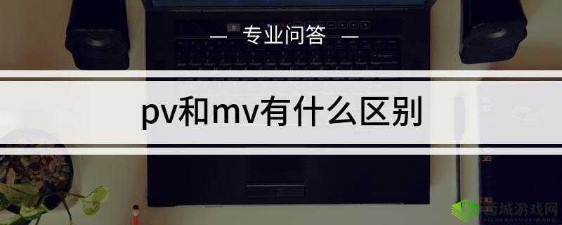 日本MV和欧洲MV有什么区别:深度解析
