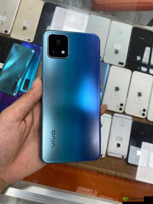 一级成色好的 y31s 标准版评测:网友称未出现问题