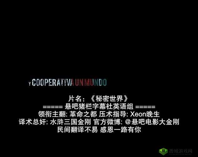 最近中文字幕无吗:探寻字幕背后的秘密