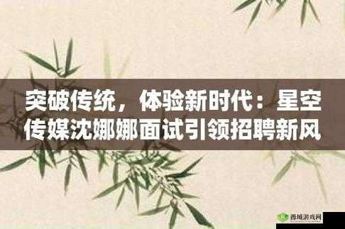 星空传媒沈娜娜面试功能介绍:全面了解其功能特点