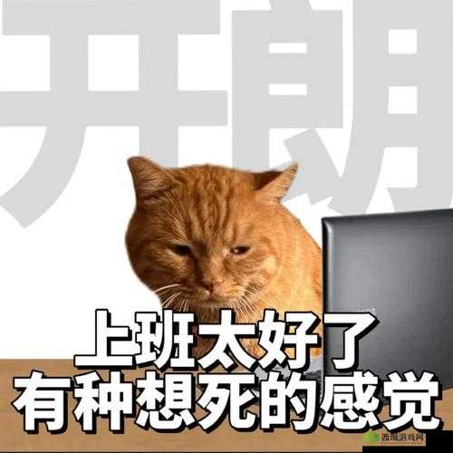 班长成全班插座,这个班怎么了?